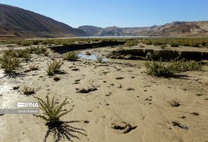 عبور از تنش آبی با همراهی عمومی