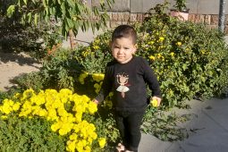 گزارش تصویری از مدرسه بیت الاحزان حضرت زهرا (س) تبریز